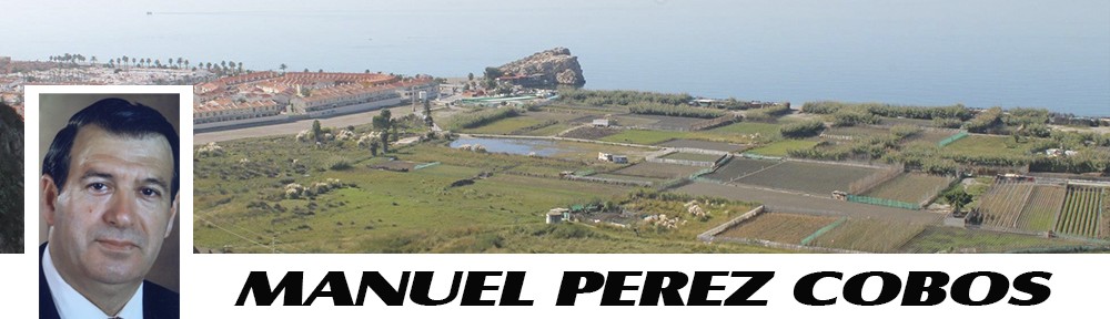 Hemeroteca Manuel Pérez Cobos